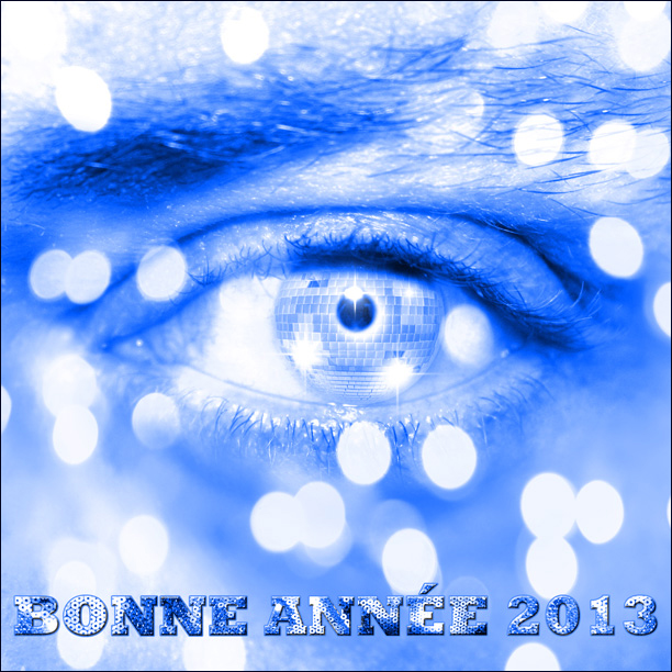 Bonne Année 2013